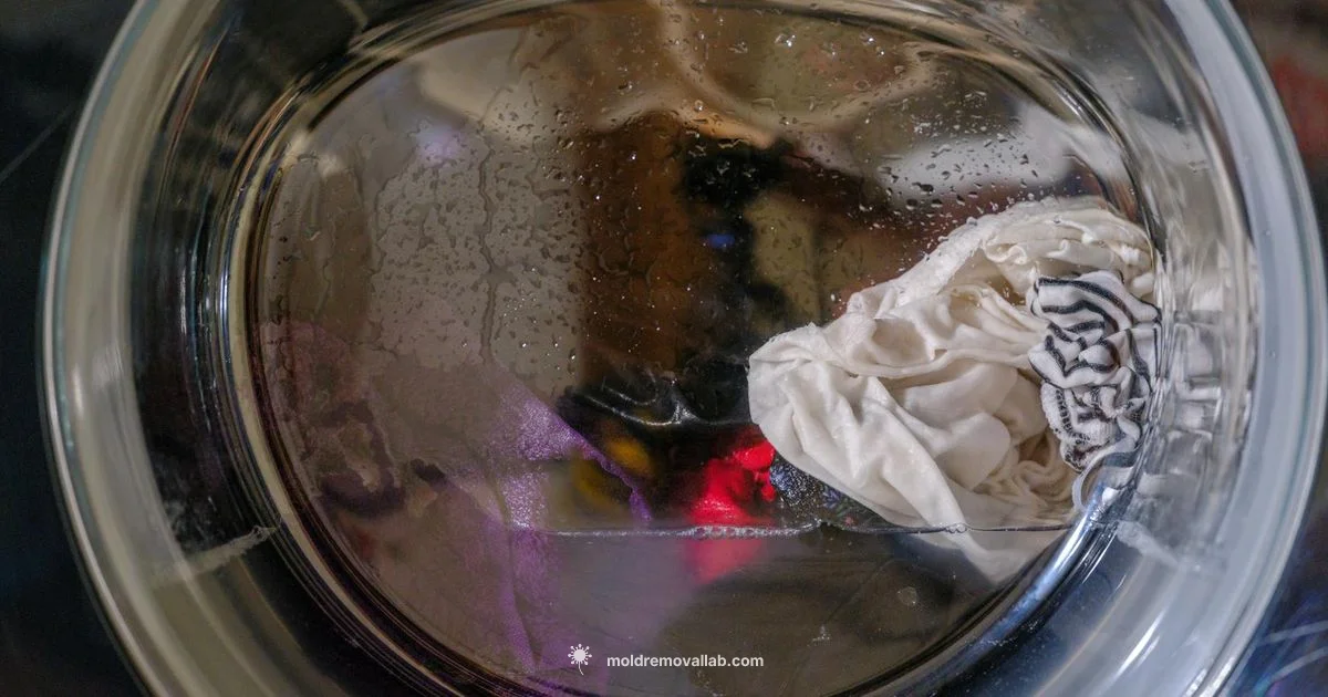 Mold-Free Washer - Mold Removal Lab