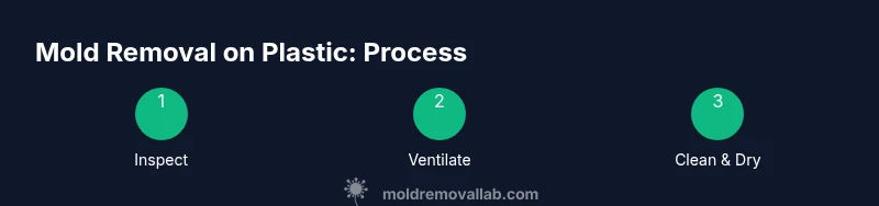 Process infographic showing steps for mold removal on plastic surfaces