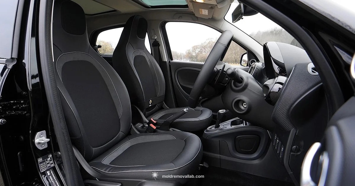 Mold Removal Guide - Mold Removal Lab