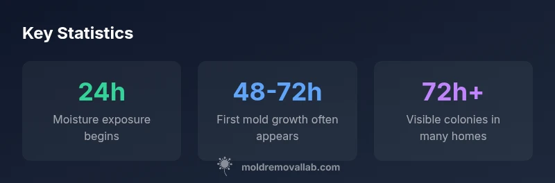 Infographic showing mold growth timeline after moisture exposure