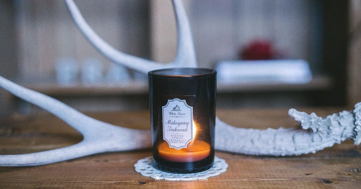 Taper Candle DIY - Mold Removal Lab