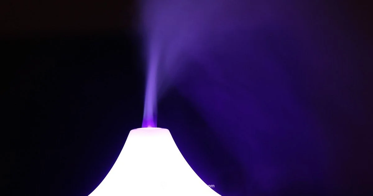 Humidifier Mold Dangers - Mold Removal Lab