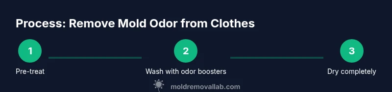 Infographic showing a 3-step process to remove mold odor from clothes