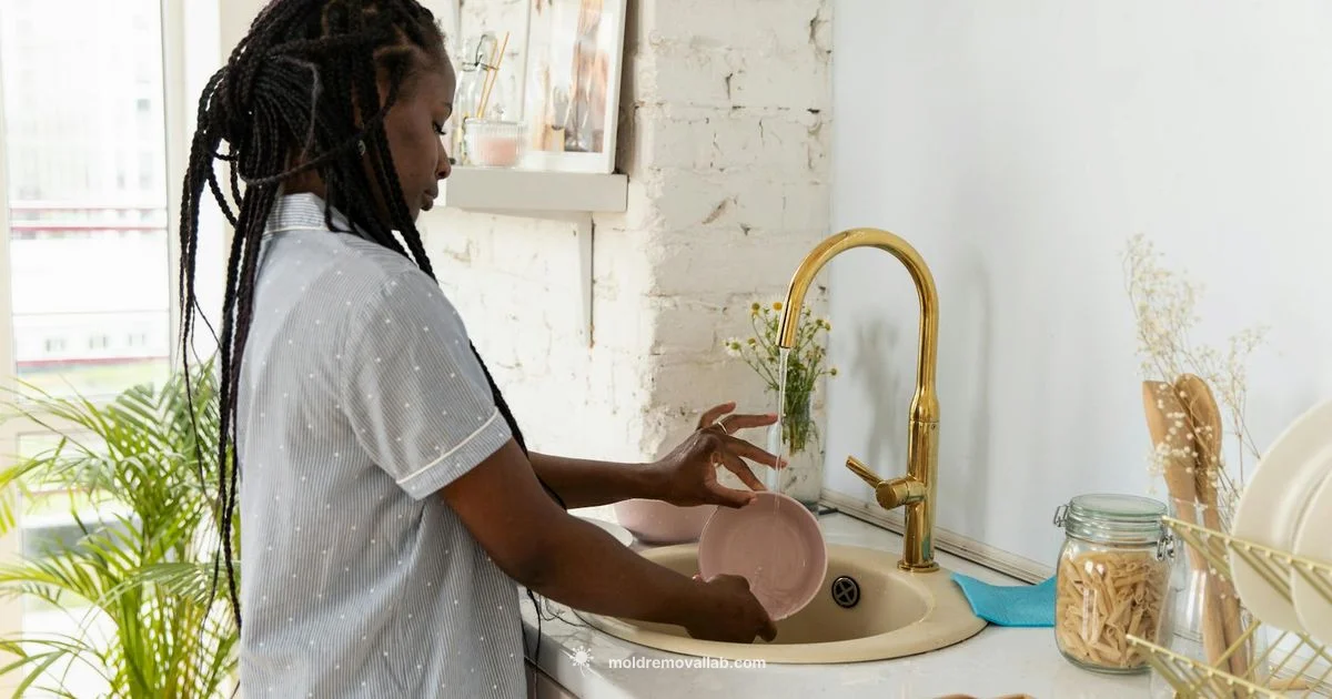 Vinegar & Mold - Mold Removal Lab