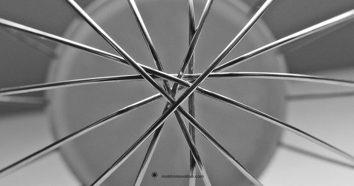 Silicone Bake Molds - Mold Removal Lab