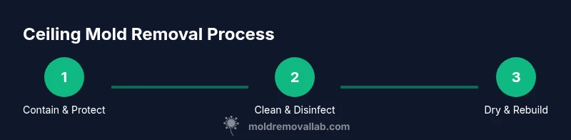 Infographic showing a 3-step ceiling mold removal process: Contain, Clean, Dry