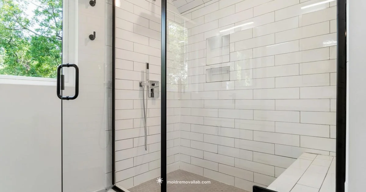 Shower Caulk Mold Guide - Mold Removal Lab