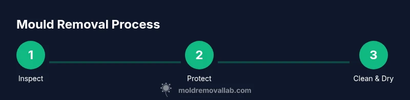 Infographic showing three-step mould removal process