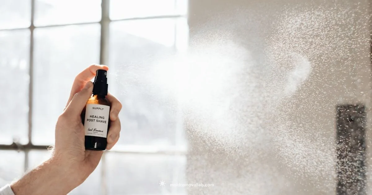 Mold Spray Guide - Mold Removal Lab