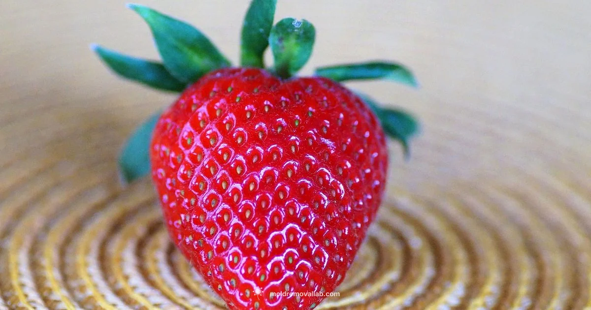Mold on Strawberry Guide - Mold Removal Lab