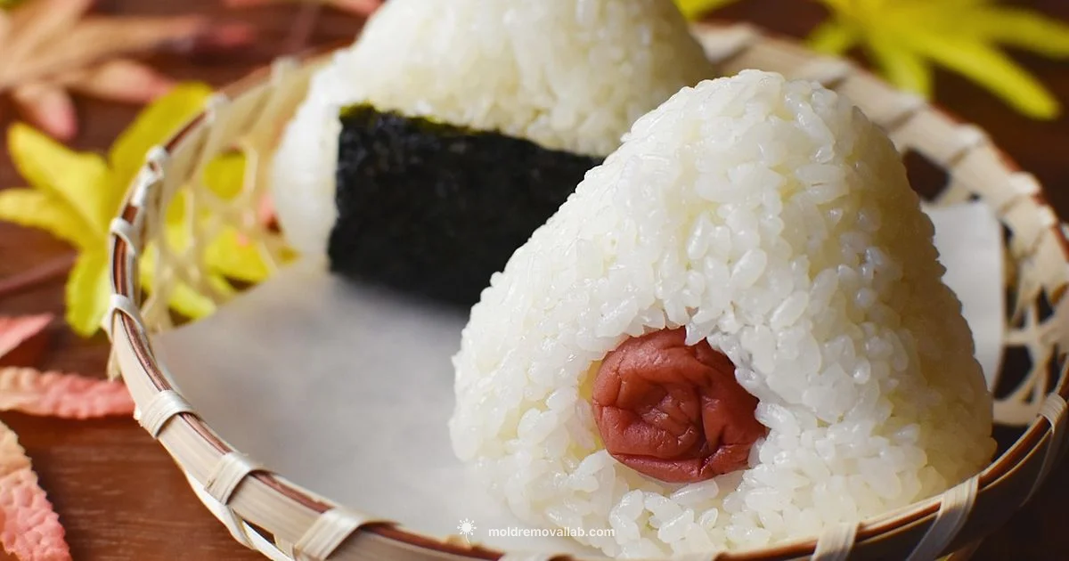 Hand-Shaped Onigiri - Mold Removal Lab