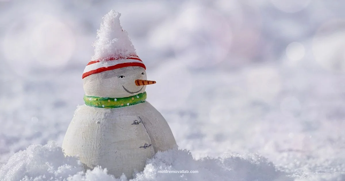 Protect Your Snowman - Mold Removal Lab
