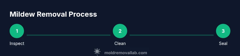 Infographic showing steps to remove mildew in a shower