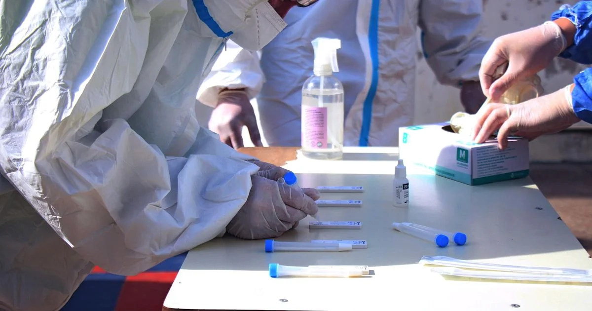 Mold Test Guide - Mold Removal Lab