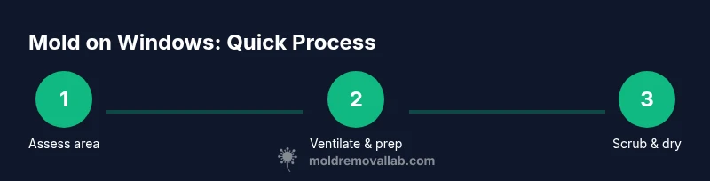 Infographic showing a three-step process to remove mold on windows