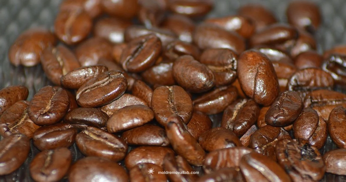 K-Cup Mold Guide - Mold Removal Lab