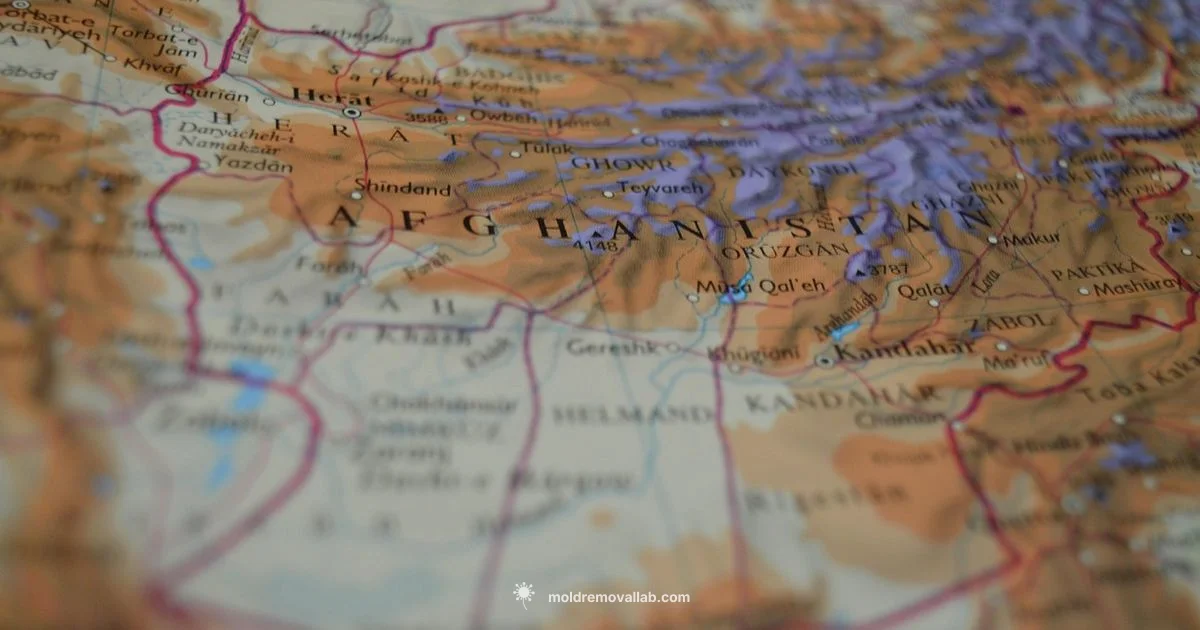 Border Tension Scenario - Mold Removal Lab