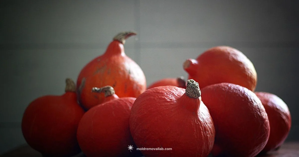 Halloween Mold Guide - Mold Removal Lab