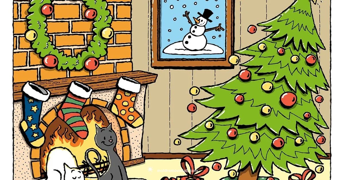 Snowman Care - Mold Removal Lab