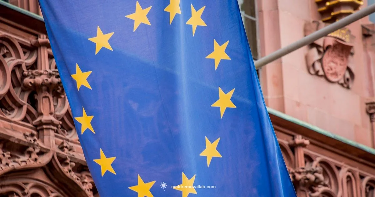 Moldova EU Path - Mold Removal Lab