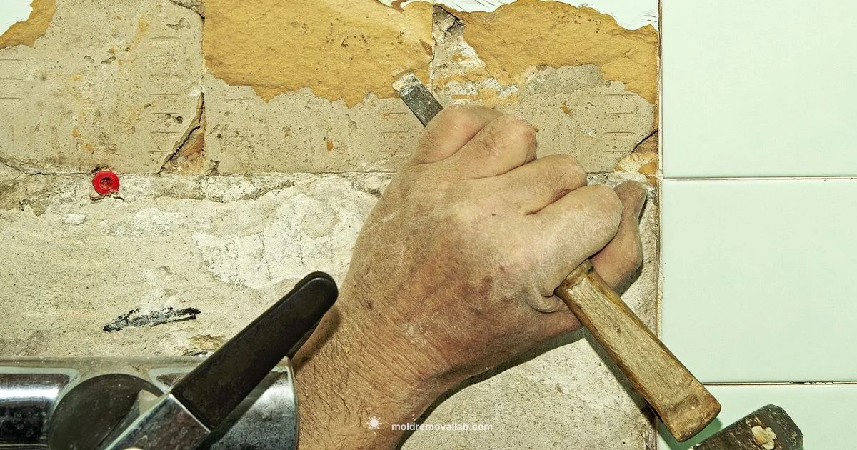 Mold-Free Grout Mold-Free Grout - Mold Removal Lab