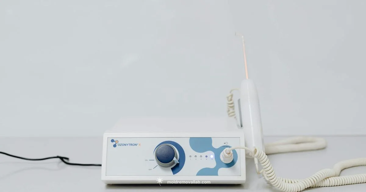 Ozone and Mold Safety - Mold Removal Lab