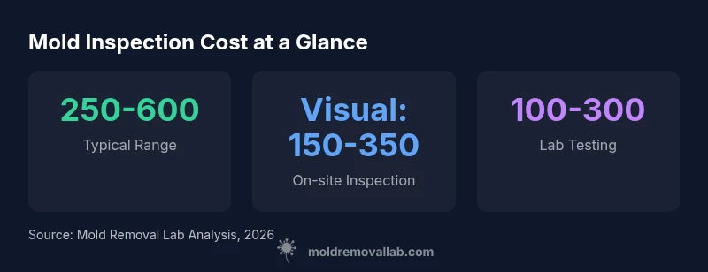 Infographic showing typical mold inspection cost ranges and components