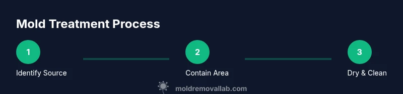 Process diagram showing steps for mold treatment in a home