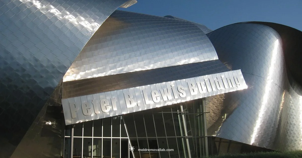 Cleveland Mold Removal Cleveland Mold Removal - Mold Removal Lab