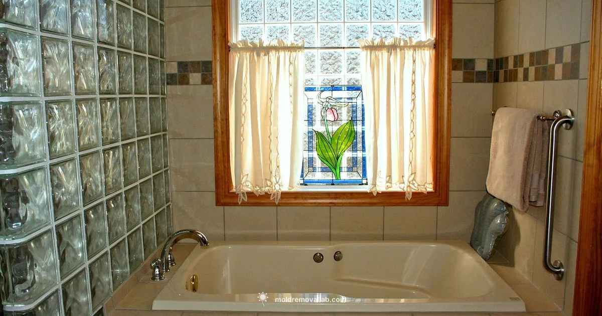 Pink Mold Guide - Mold Removal Lab