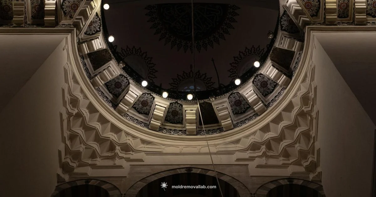 Ceiling Mold Fix - Mold Removal Lab