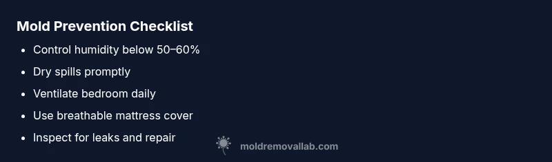 Checklist for preventing mold on a mattress