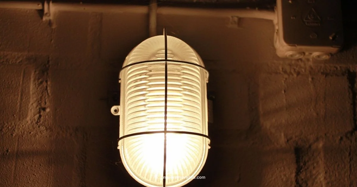 Mold on Concrete - Mold Removal Lab