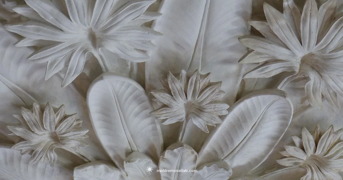 Ceiling Molding Guide - Mold Removal Lab