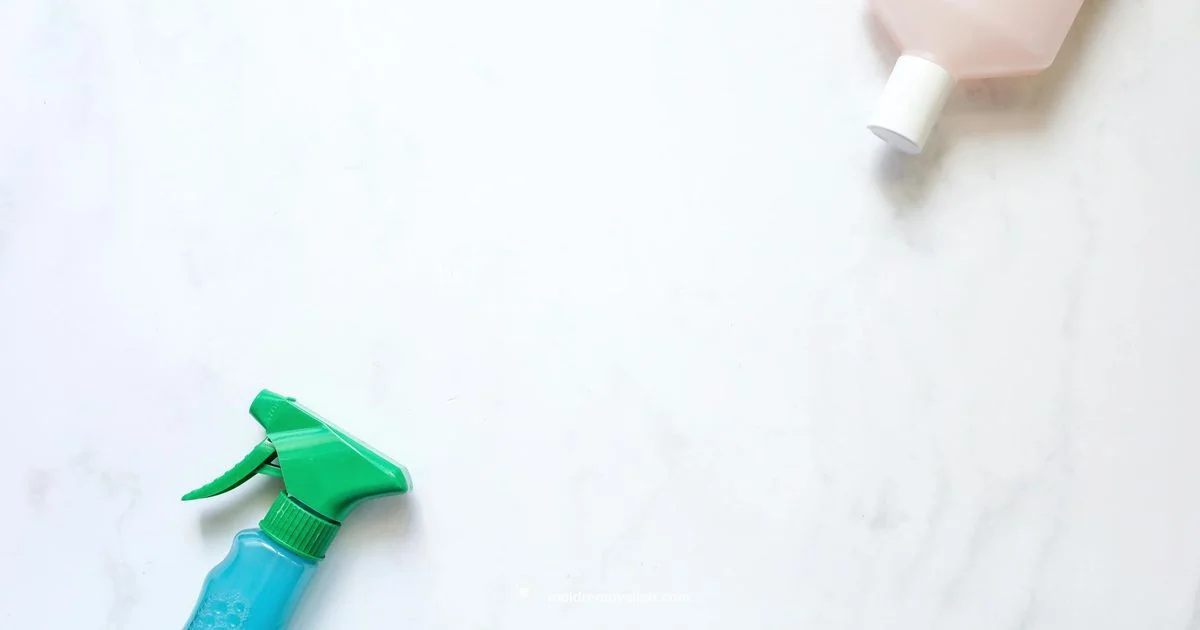 Mold Spray Guide - Mold Removal Lab