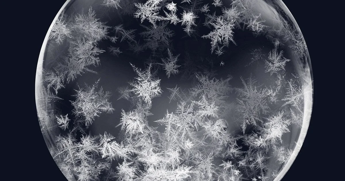 Perfect Ice Balls - Mold Removal Lab