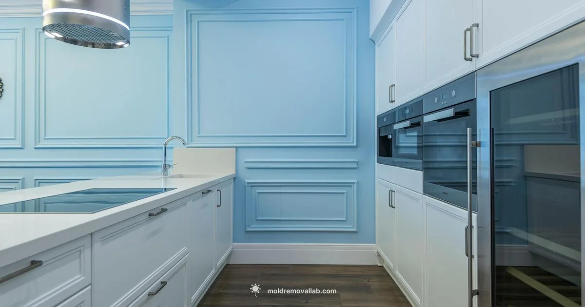 Blue Mold Guide - Mold Removal Lab