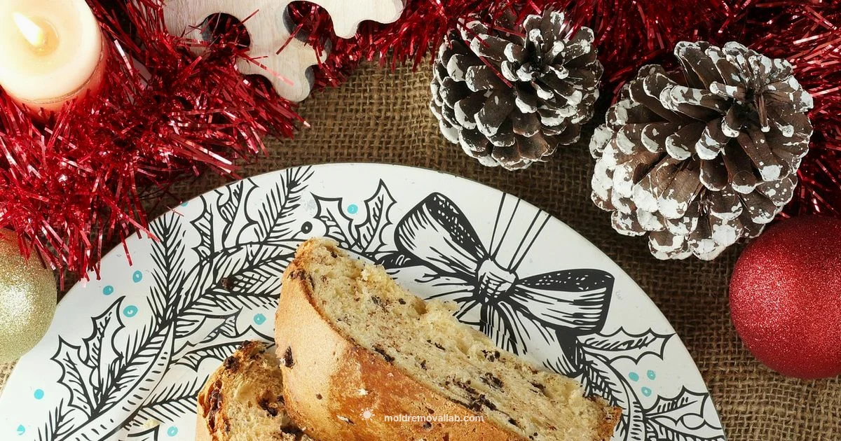 Panettone Mold Guide - Mold Removal Lab