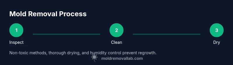 Infographic showing steps to remove mold from a mattress with a dark themed design
