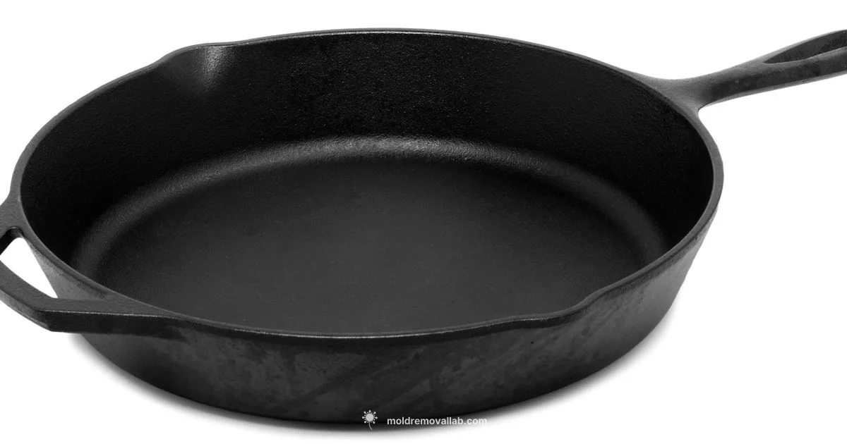 Bread Mold Essentials - Mold Removal Lab