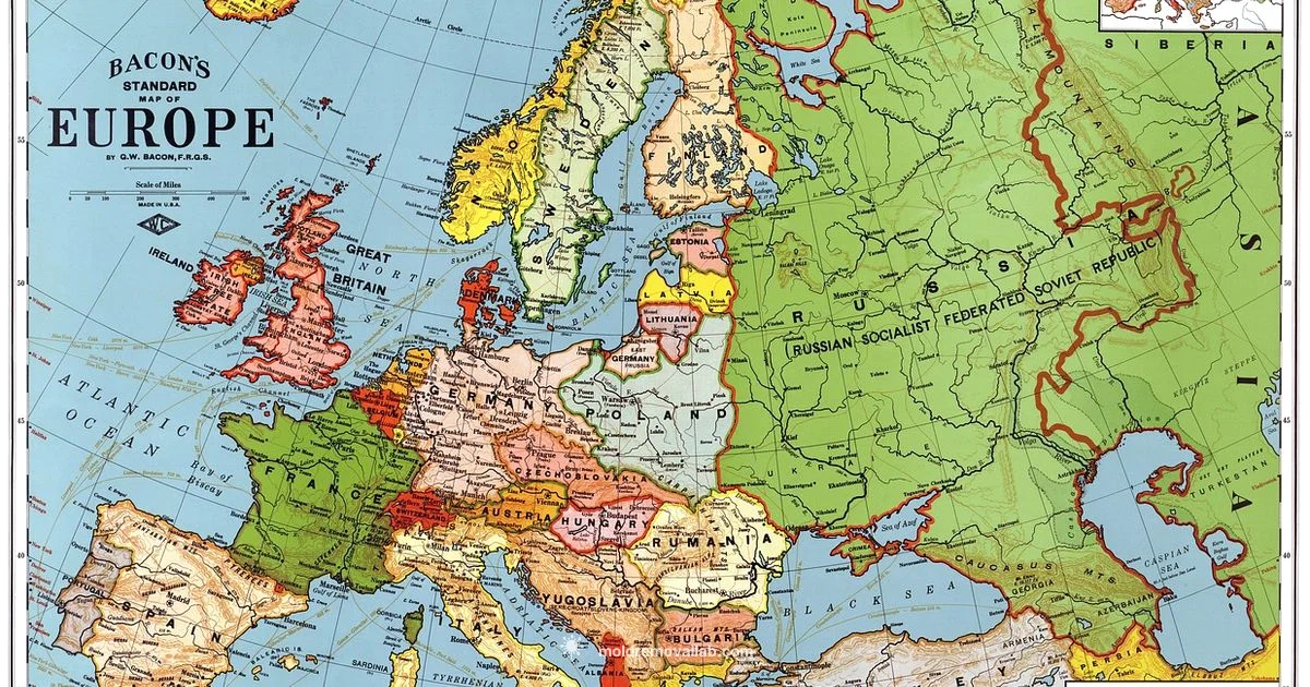 Moldova-Romania Union - Mold Removal Lab