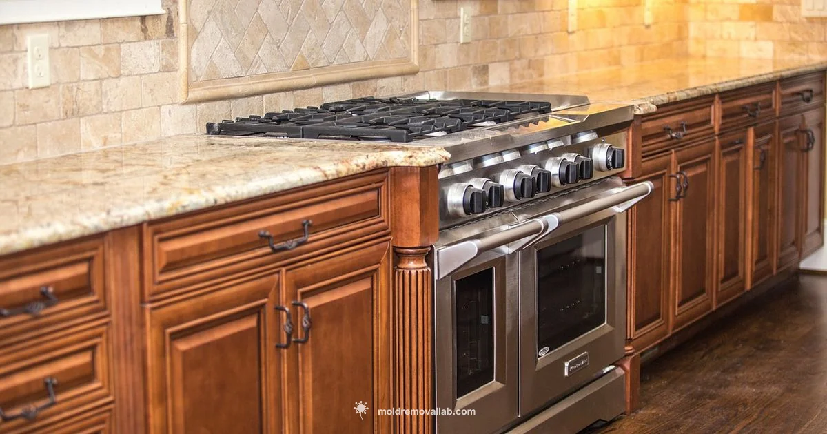 Molding Trim Guide - Mold Removal Lab