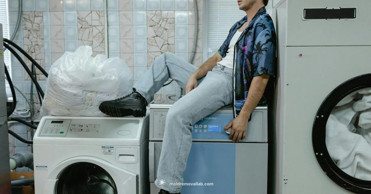 Fabric Mold Guide Fabric Mold Guide - Mold Removal Lab