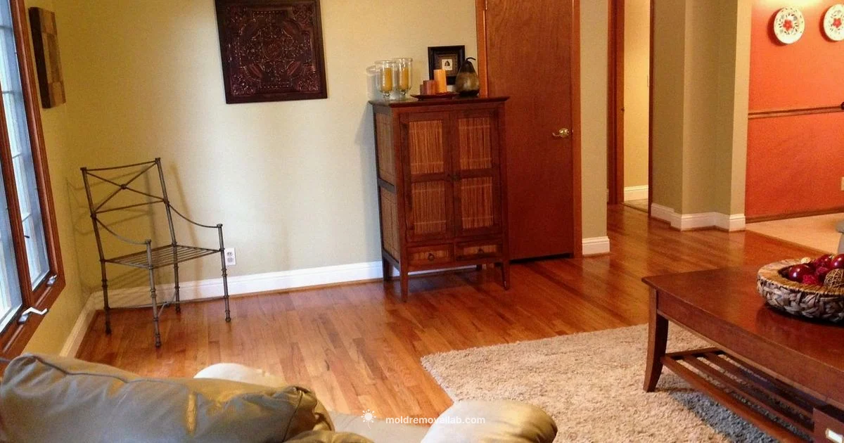 Mold Inspection Guide - Mold Removal Lab