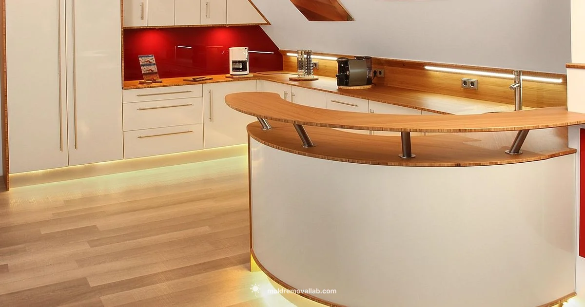 Mold-Free Coffee - Mold Removal Lab