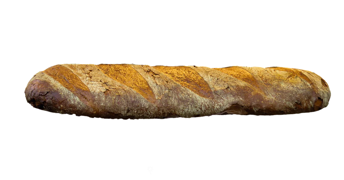 Bread Mold Guide - Mold Removal Lab