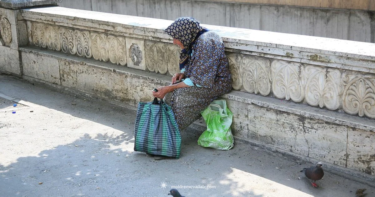 Moldova Romania Unification - Mold Removal Lab