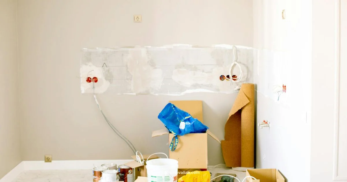 Kilz Mold Guide - Mold Removal Lab