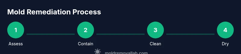 Process diagram of mold remediation steps in a Louisville home