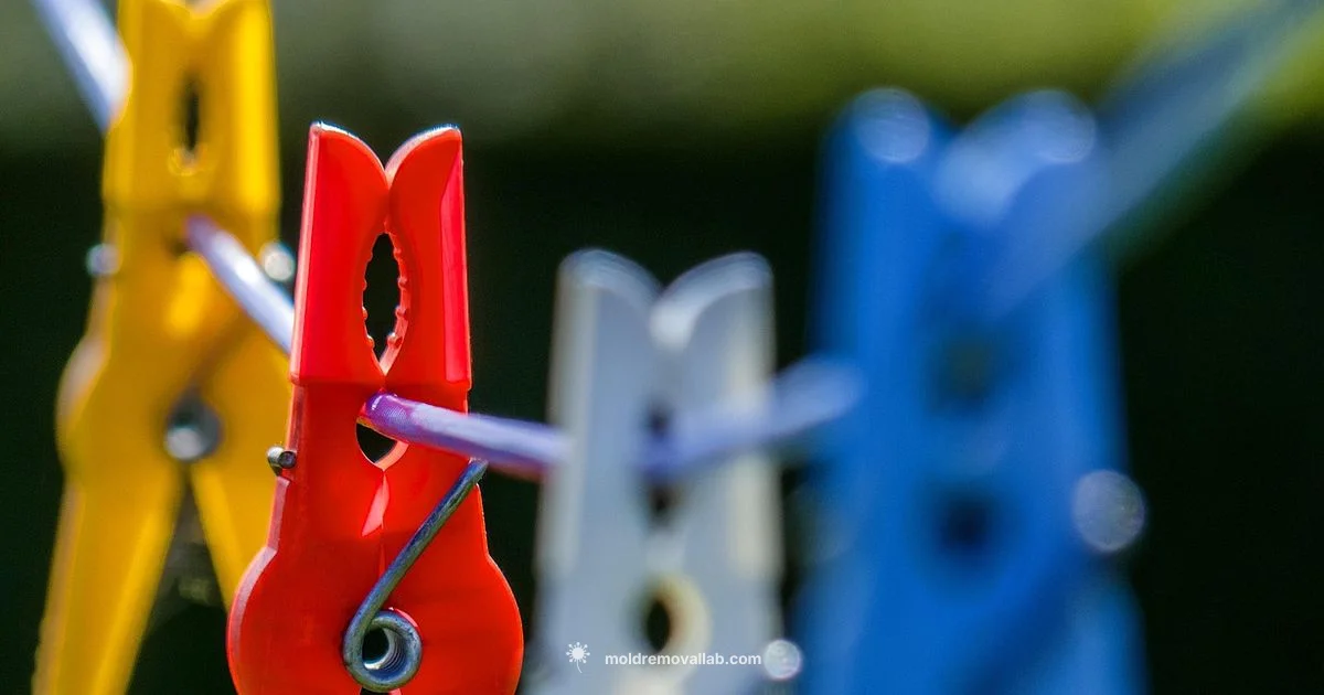 Mold Stain Guide - Mold Removal Lab